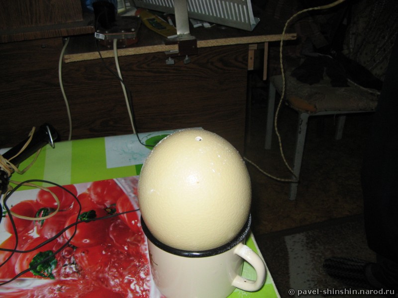 Отверстие в яйце